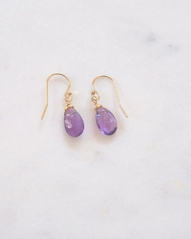 Ladies earrings colorful stones-Amethyst Drop Earrings