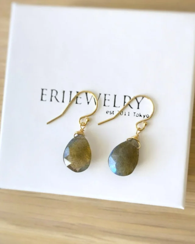 Ladies earrings cute designs-Labradorite Simple Drop Earrings