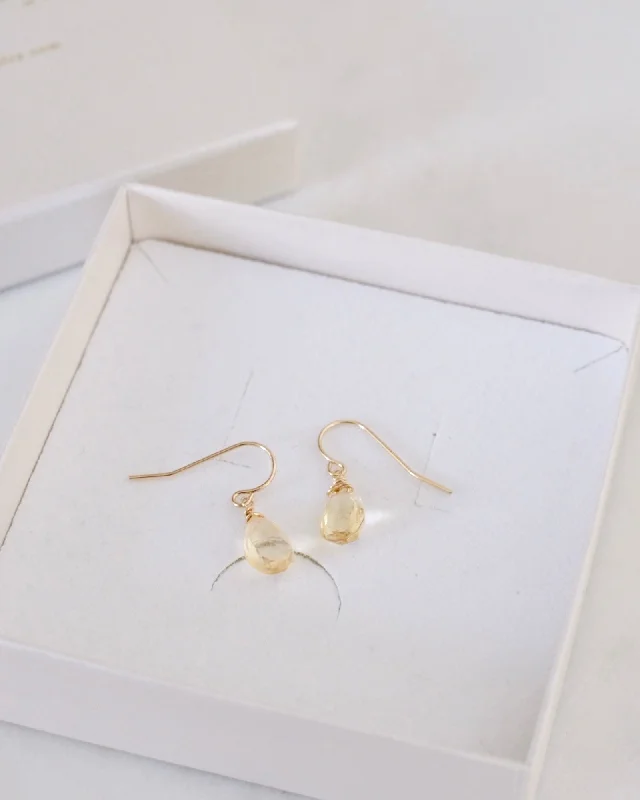 Ladies earrings geometric shapes-Citrine Simple Earrings